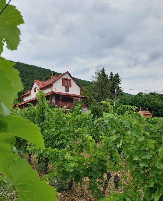 Szőlőcskei Vendégház és Pihenő Eger