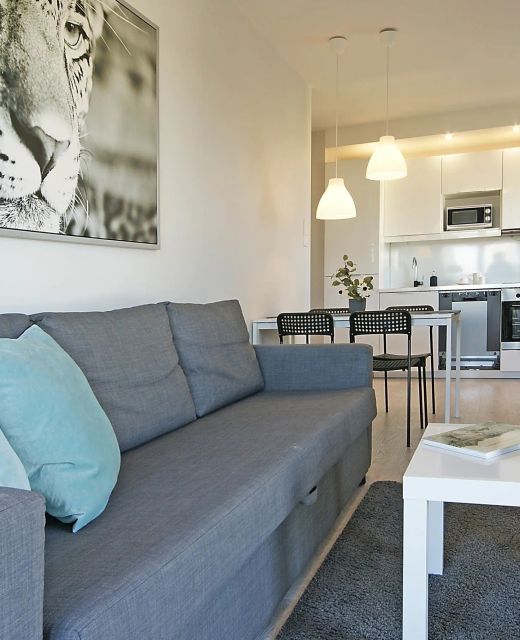 IRS Apartament Panorama D-lux Gdańsk