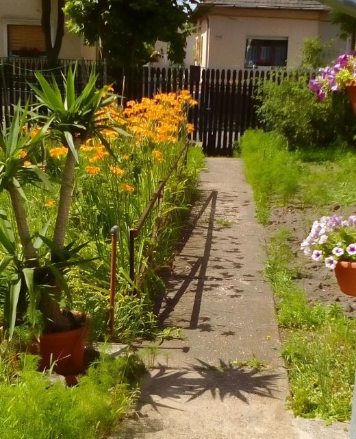 Dominikagarden Apartman Budapest