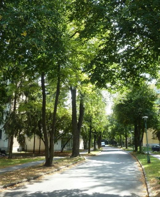 Knédli Apartman Miskolc