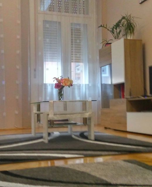 Belváros Szíve Apartman Szeged