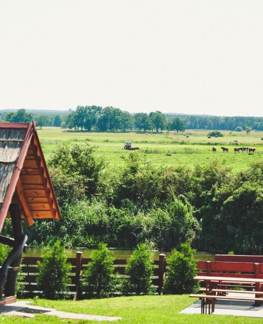Żwirowa Góra Domki nad Narwią Tykocin