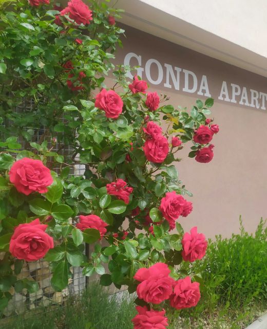 Gonda Apartments Hradec Králové