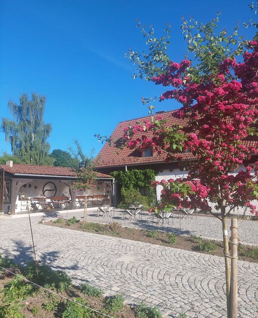 Manský dvůr Dolní Žandov
