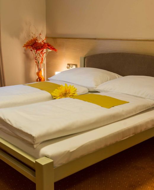 Hotel Lužnice Planá nad Lužnicí