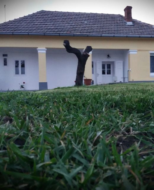 Délibáb Vendégház Poroszló