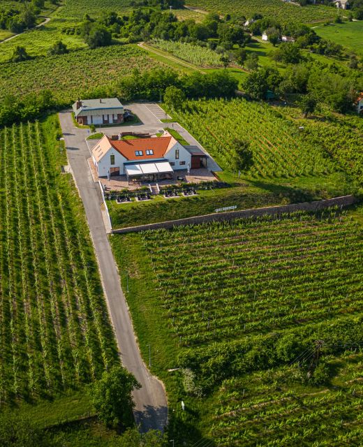 Vitis Kúria Balatonrendes