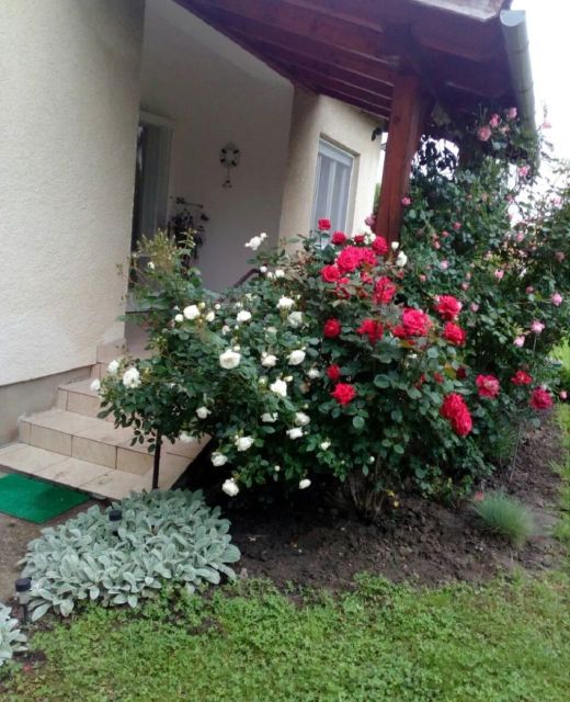 Nikes Üdülőház Balatonkeresztúr