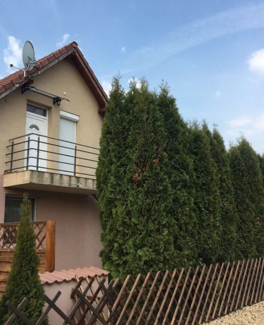 Tulipán Apartman Kápolnásnyék