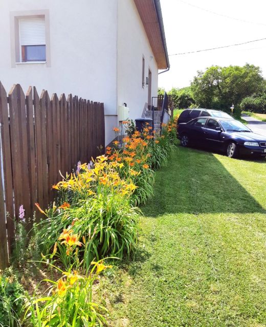 Liliom Apartman Rezi