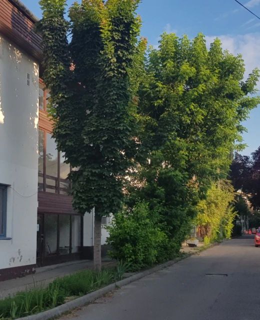 Lotti Apartman Kiskunhalas
