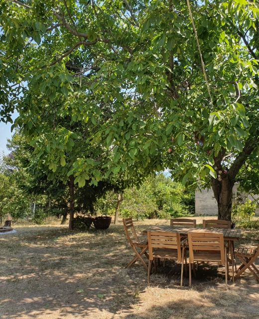 Diófa Vendégház Balatonfüred