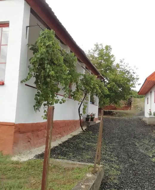 Nagyhaláp Vendégház Cserháthaláp