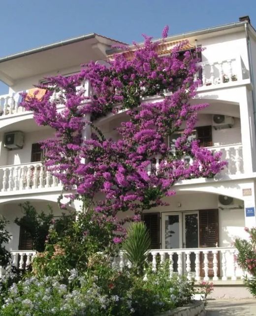 Apartments By The Sea Barbat, Rab - 17620 Barbat