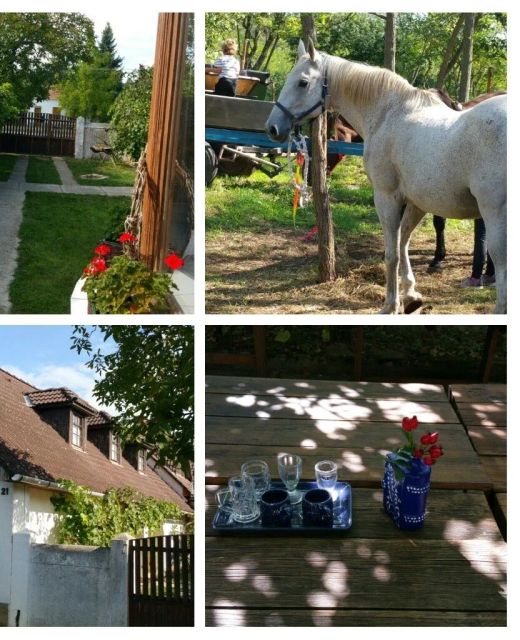 Derű Vendégház és Lovasudvar Fenyőfő