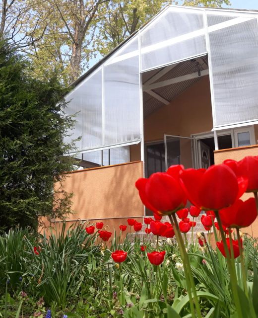 Peresi Vízparti Apartman Mezőtúr