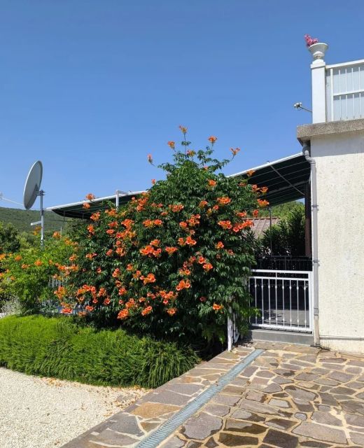 Apartment Snjezana Marina