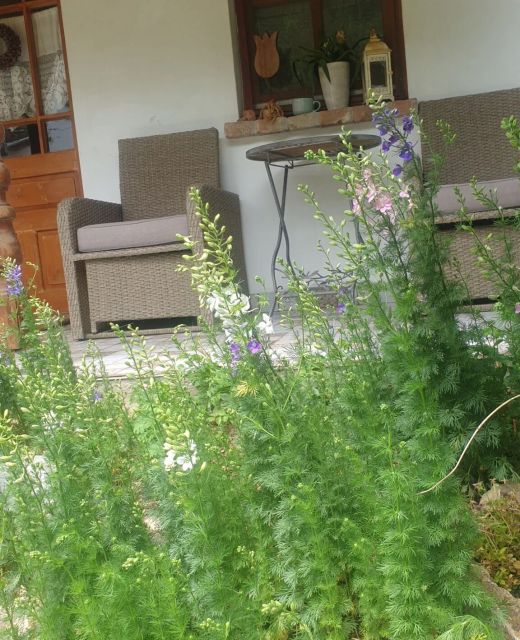 Tulipános Vendégház Óbánya