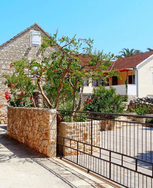 House Lara Vrboska