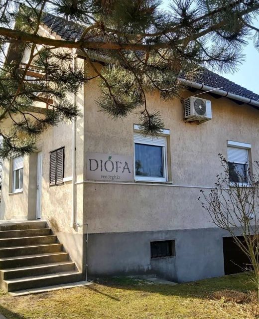 Diófa Vendégház Daruszentmiklós