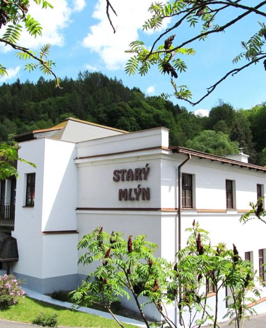 Hotel Starý Mlýn Železný Brod