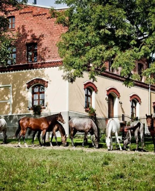 Pension Rothschildův dvůr Bělá