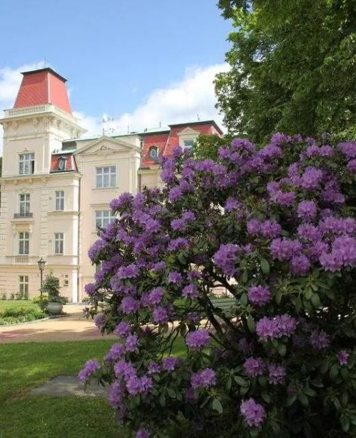 Hotel Tereza Karlovy Vary