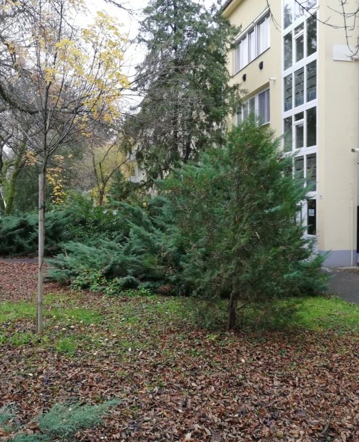 Tulip Family Apartment Eger
