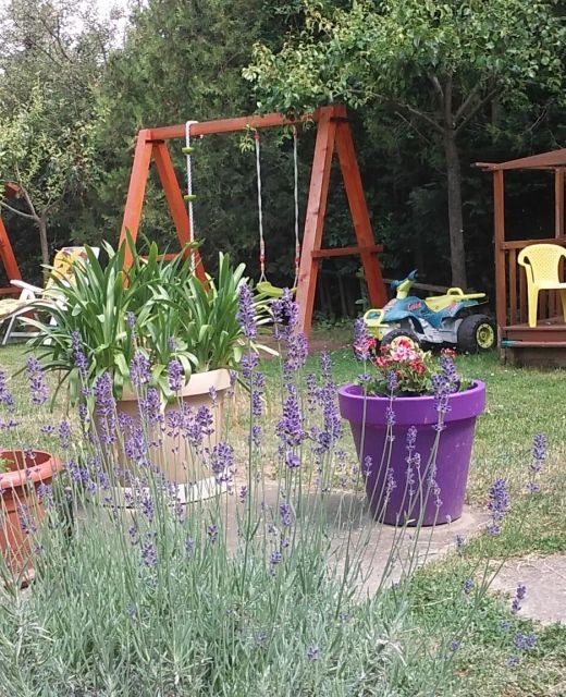 Amarilisz Apartman Balatonlelle