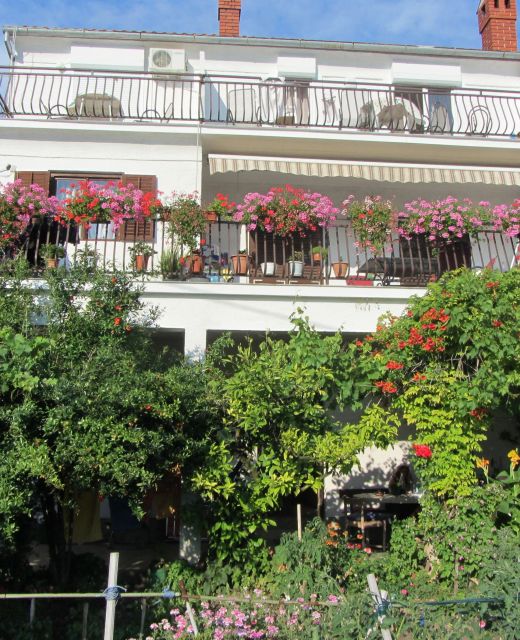 Apartments Grapevines Biograd