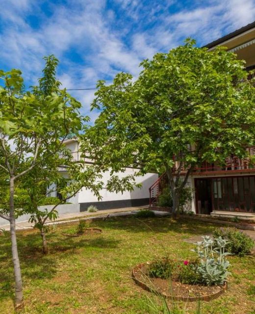 Apartmani Tereza Jadranovo