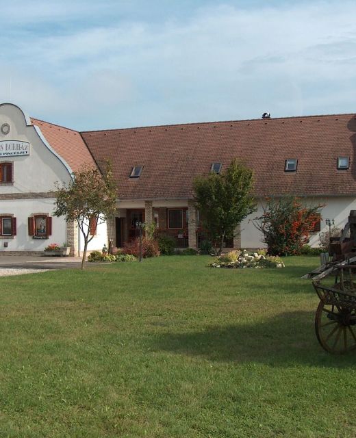 Borház Panzió Hajós-Pincefalu