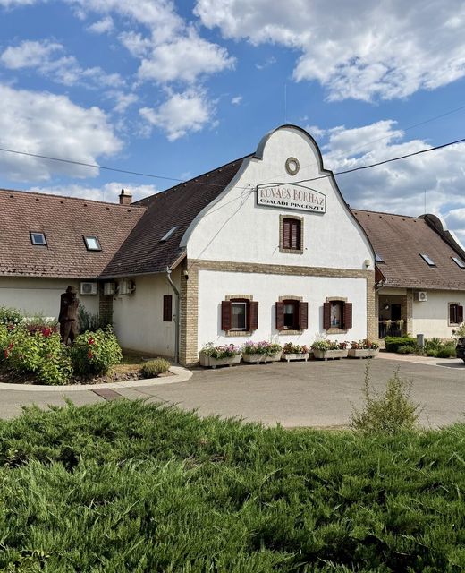 Borház Panzió Hajós-Pincefalu