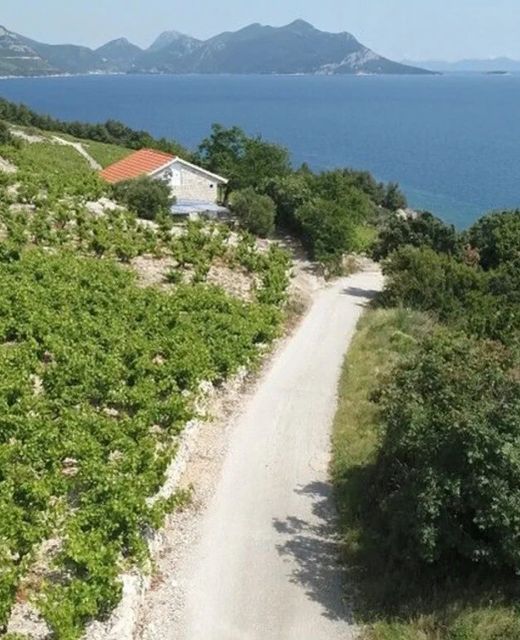 Robinson House Dingač Trstenik