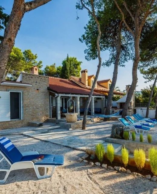 Robinson House Kleopatra Mutnik