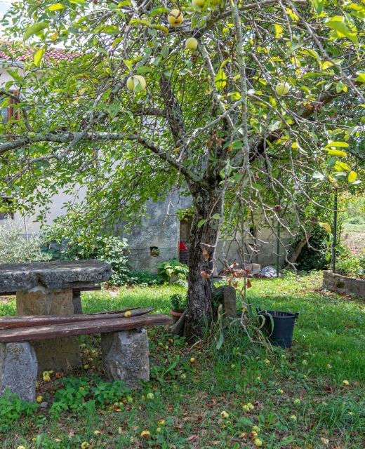 Apartments With Parking Space Buzet, Central Istria - Središnja Istra - 17333 Buzet