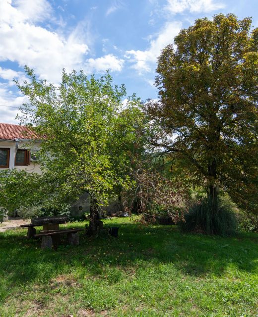Apartments With Parking Space Buzet, Central Istria - Središnja Istra - 17333 Buzet
