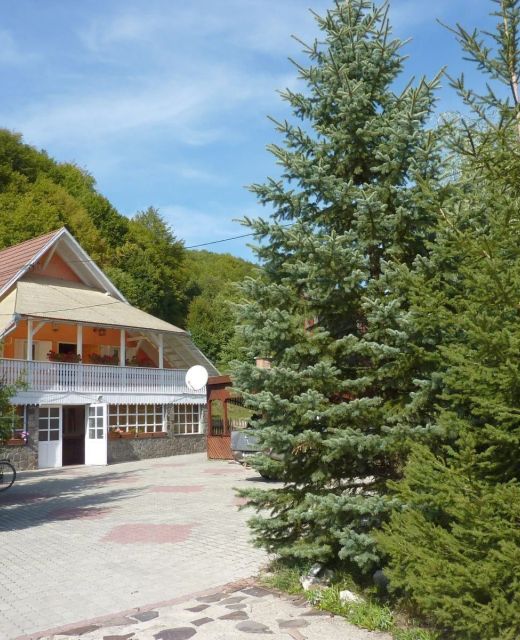 Casa de Oaspeți Simon Csilla 1. Satu Mare