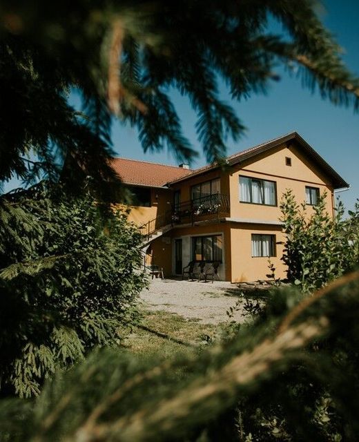 Casa de oaspeți Erika Lăzarea