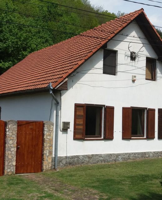Casa de vacanță Nagy Sándor Sasca Montană