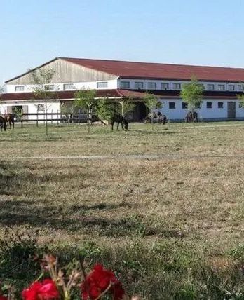 Pensiunea Lipicai Chichiș