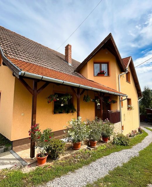 Casa de oaspeți Gergely Zetea