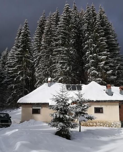 Cabana Pietricica Dâmbovicioara