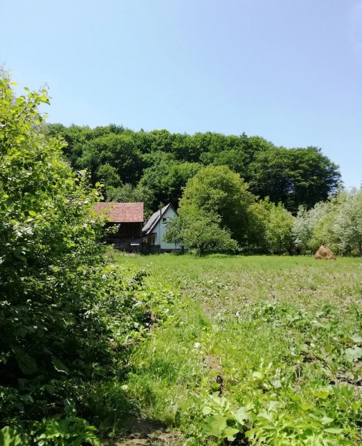Casa Cristian Valea Dobârlăului