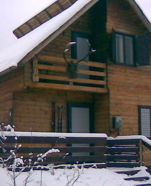 Cabana Brăduț Borșa
