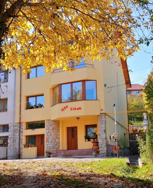 Vila Liana Brașov