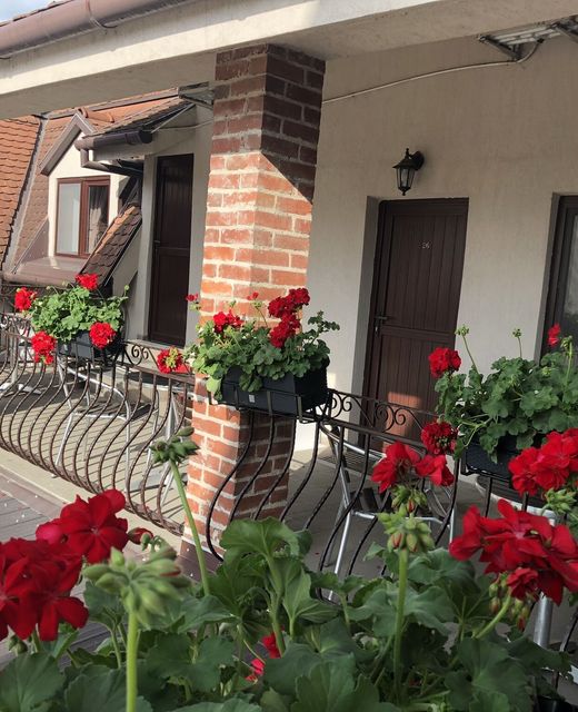 Casa Mignon Oradea