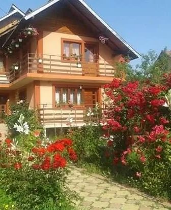 Pensiunea Nopți de Vara Căpățânenii Pământeni