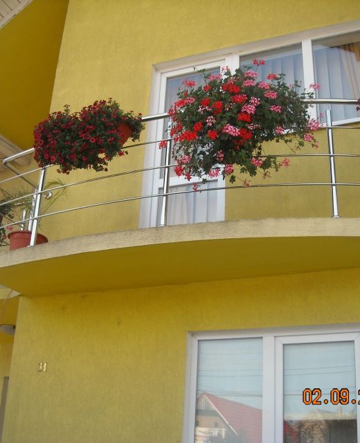 Casa Judith Turda