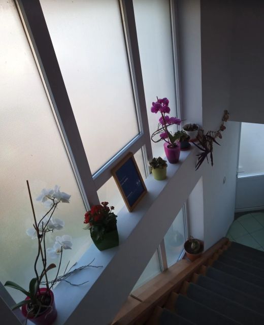 Casa Judith Turda